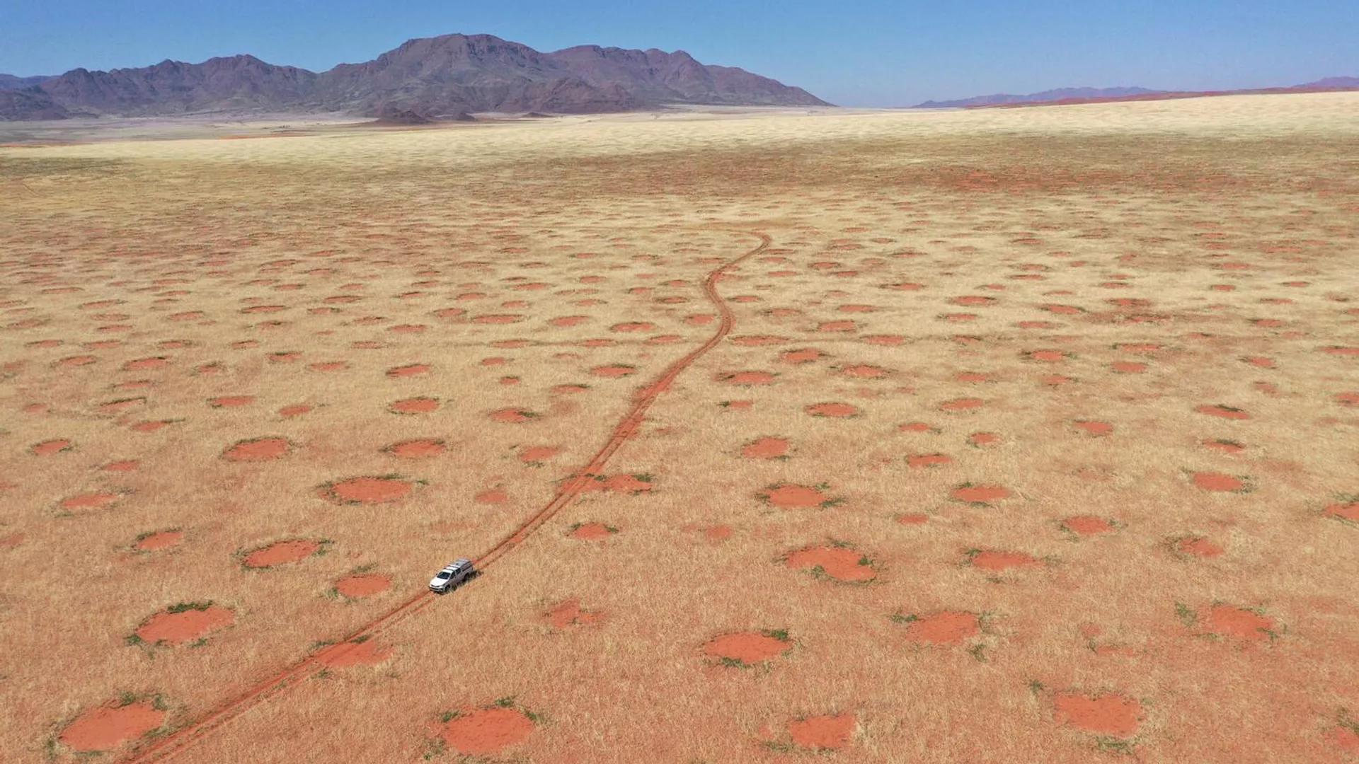 Mystery of Namibia's 'Fairy Circles' May Have Been Solved Mystery of Namibia's 'Fairy Circles' May Have Been Solved