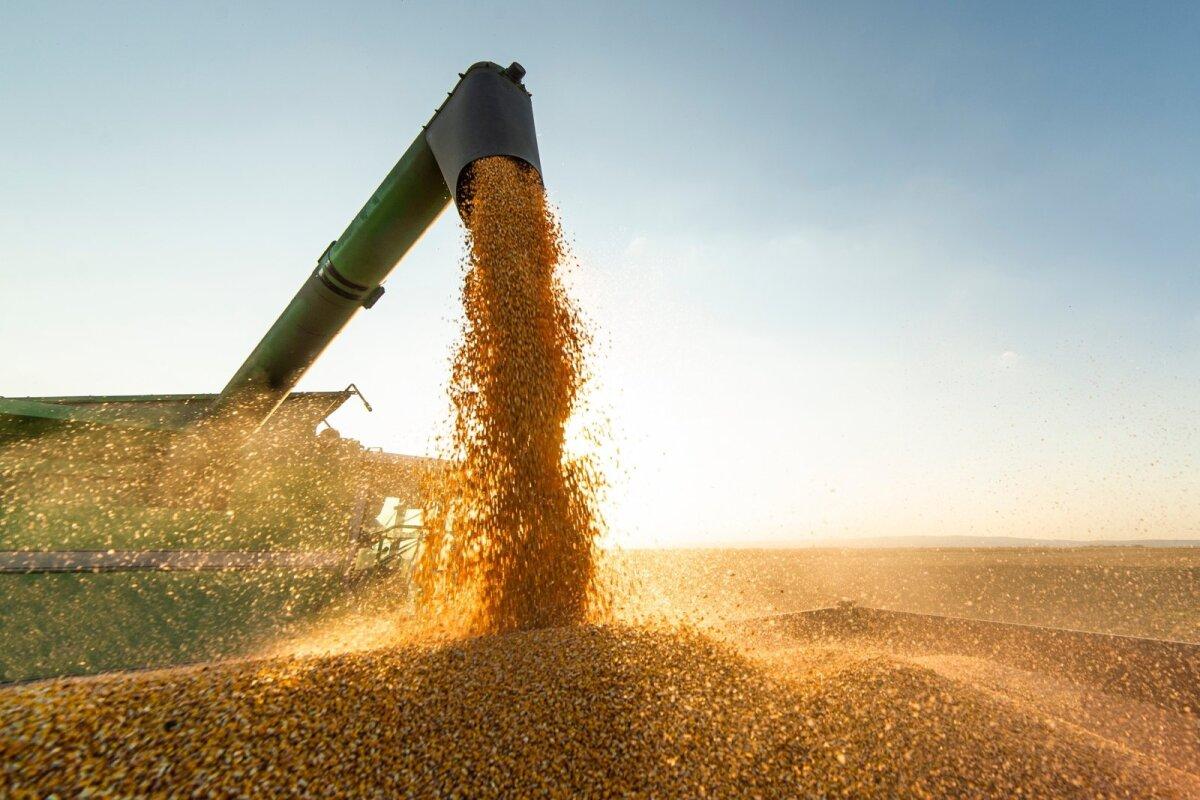 EU asks Russia to revoke suspension of grain deal EU asks Russia to revoke suspension of grain deal