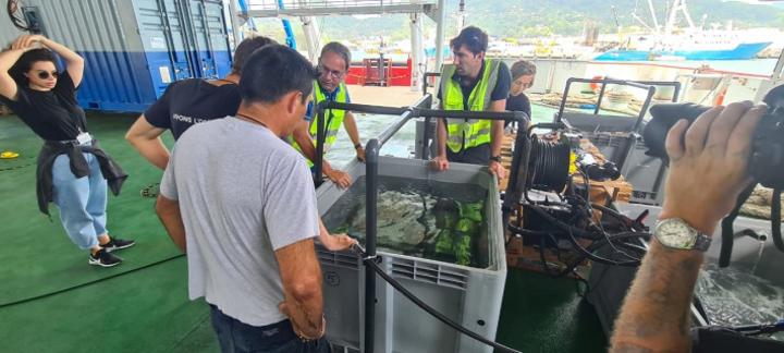 Aquaculture department assists the Monaco Expedition with international transfer of live coral Aquaculture department assists the Monaco Expedition with international transfer of live coral