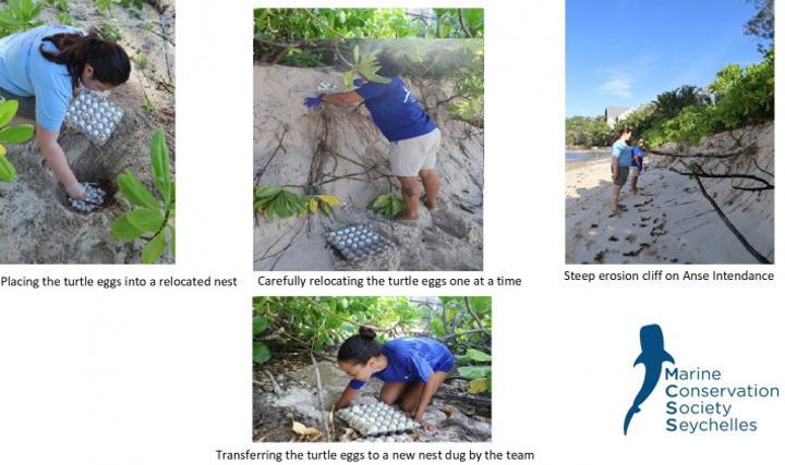 Conservation to combat the impacts of climate change Conservation to combat the impacts of climate change