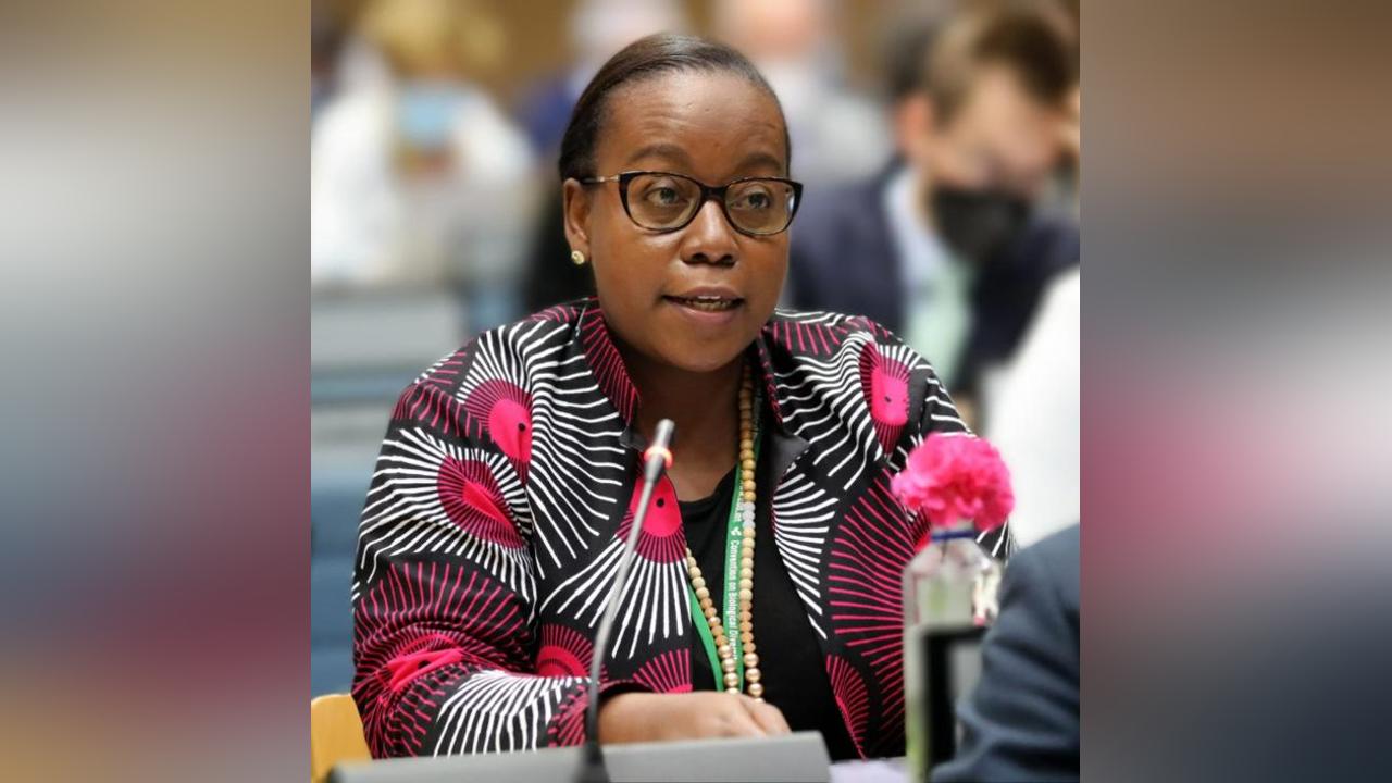 Seventh Blue Grant Fund becomes bigger and wider Seventh Blue Grant Fund becomes bigger and wider