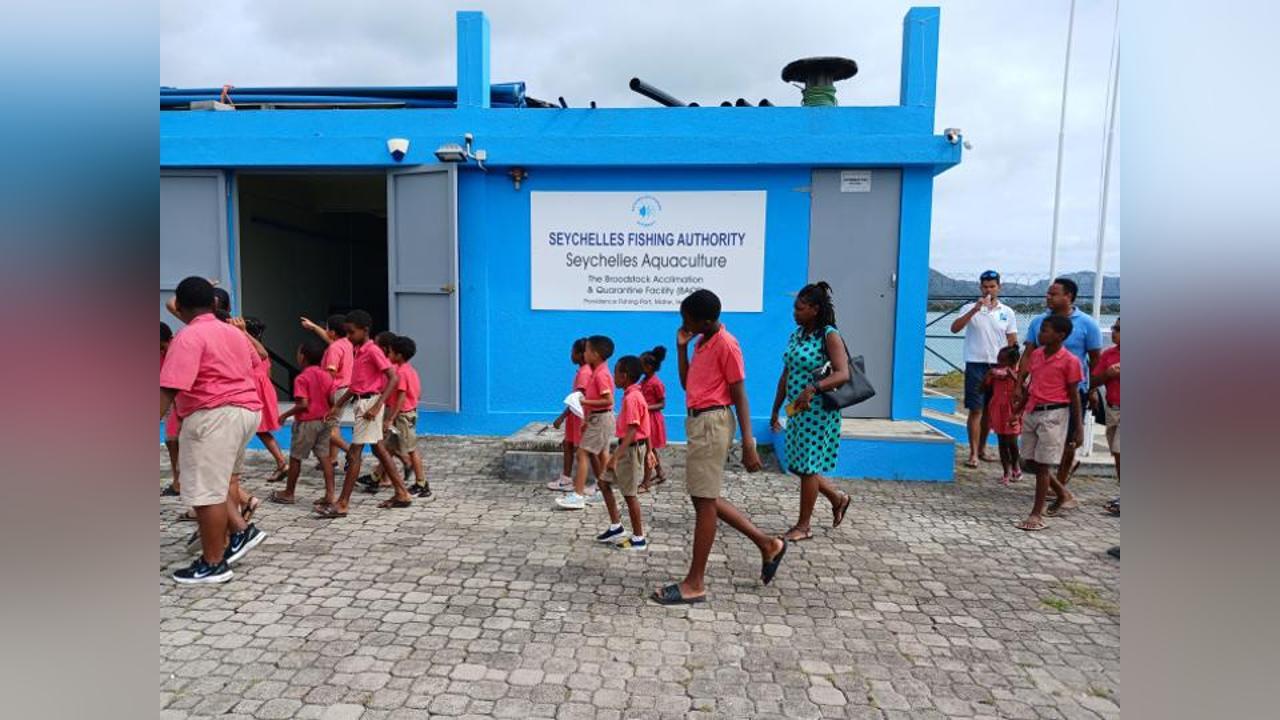 Perseverance Eco-Club learns about FADs Perseverance Eco-Club learns about FADs