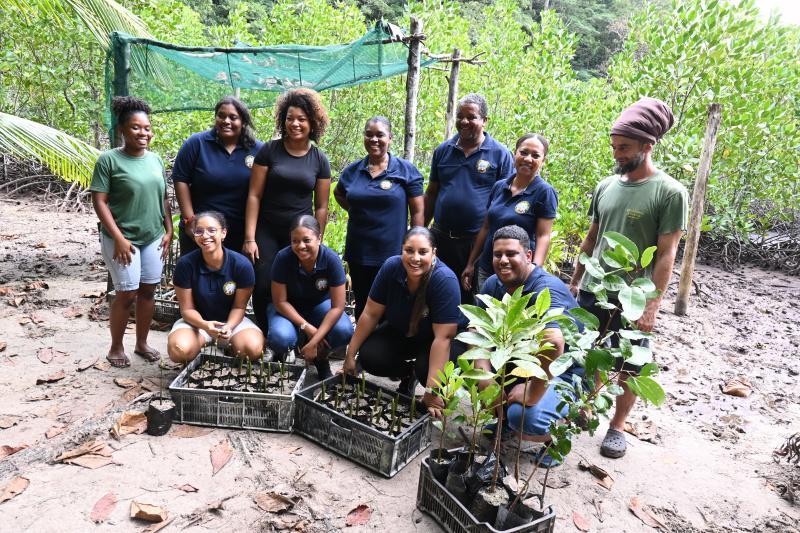 EPIC visits Constance Ephelia mangrove site EPIC visits Constance Ephelia mangrove site