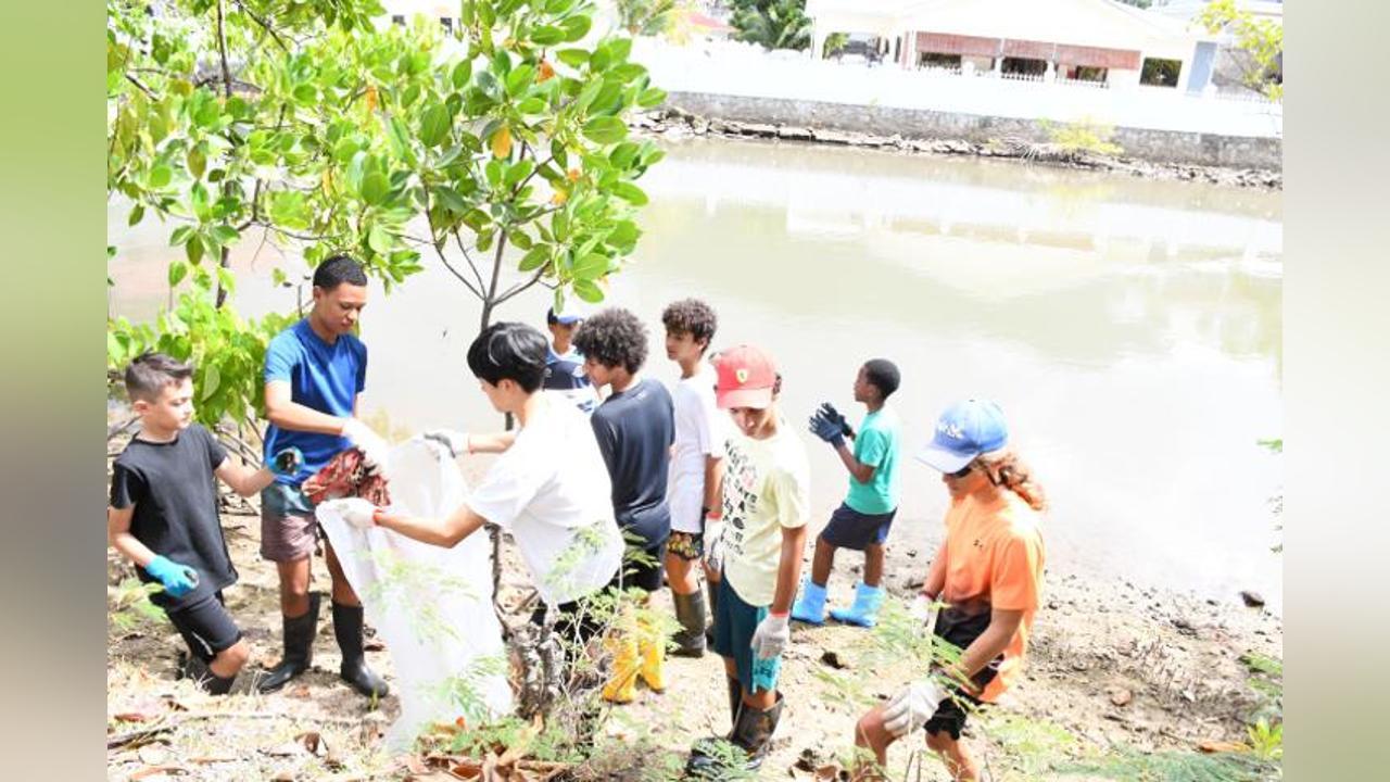 Schools mark International Day for the Conservation of Mangroves ...