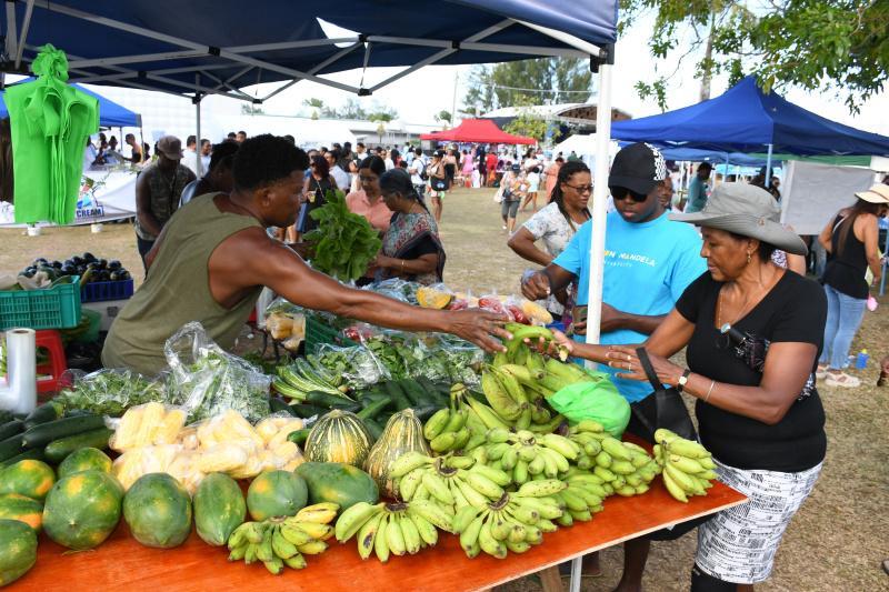 CWS 130th Anniversary fair and mega concert attract large crowd