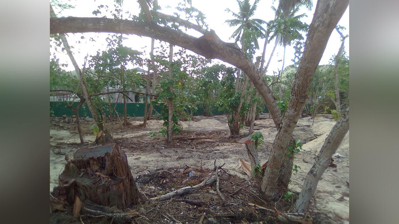 Letters/Opinion Letters/Opinion