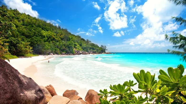 One Of The World's Best Ranked Beaches Offers Unspoiled Beauty And Elite Snorkeling In The SeychellesRead One Of The World's Best Ranked Beaches Offers Unspoiled Beauty And Elite Snorkeling In The SeychellesRead