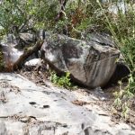Urgent rock stabilisation works underway in Pointe Conan Urgent rock stabilisation works underway in Pointe Conan