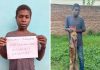 Man Arrested in Malawi for Alleged Dog Meat Sale Man Arrested in Malawi for Alleged Dog Meat Sale