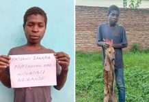 Man Arrested in Malawi for Alleged Dog Meat Sale Man Arrested in Malawi for Alleged Dog Meat Sale