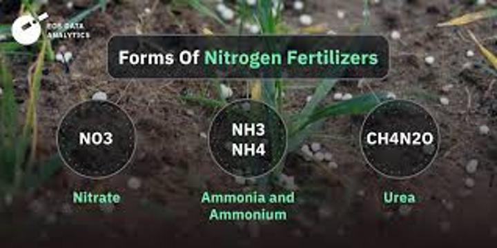 Nitrogen Imports Shift to Brazil After Hormuz Closure Nitrogen Imports Shift to Brazil After Hormuz Closure