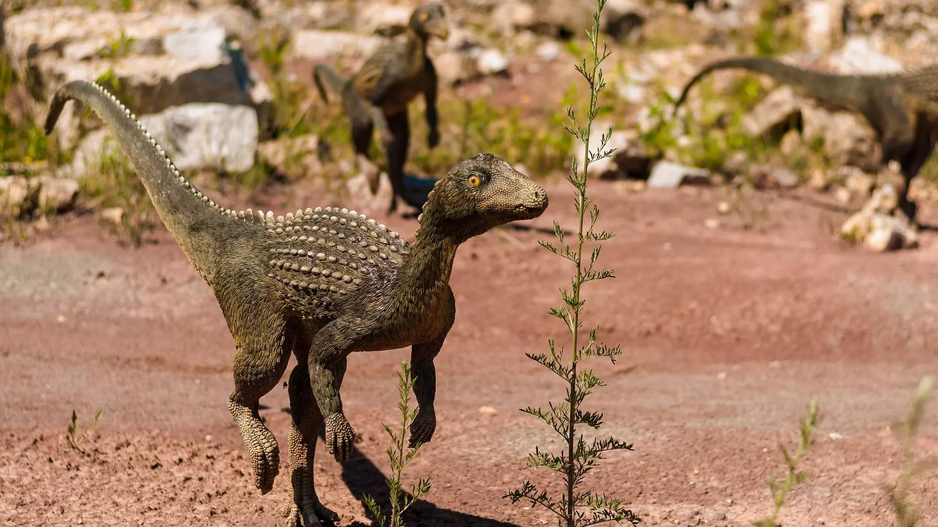 Researchers Discover First of Its Kind Armored Dinosaur Fossils in Argentina