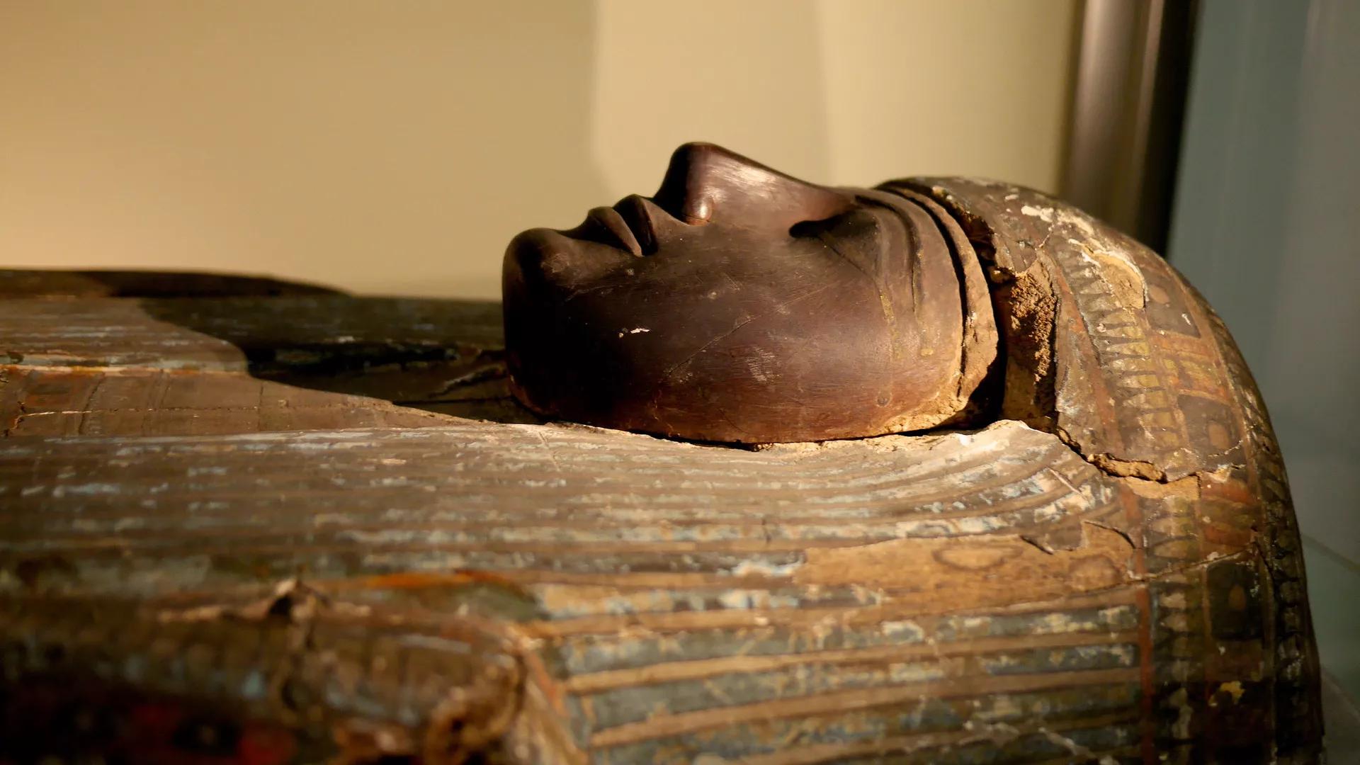 New Study Offers 'a Big 180' on Ancient Egypt's Mummification New Study Offers 'a Big 180' on Ancient Egypt's Mummification