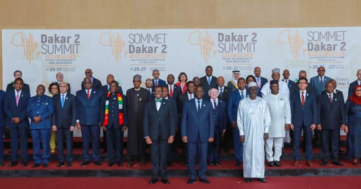 Feed Africa Summit: African Development Bank plans to invest $10 billion to make continent the breadbasket of the world
