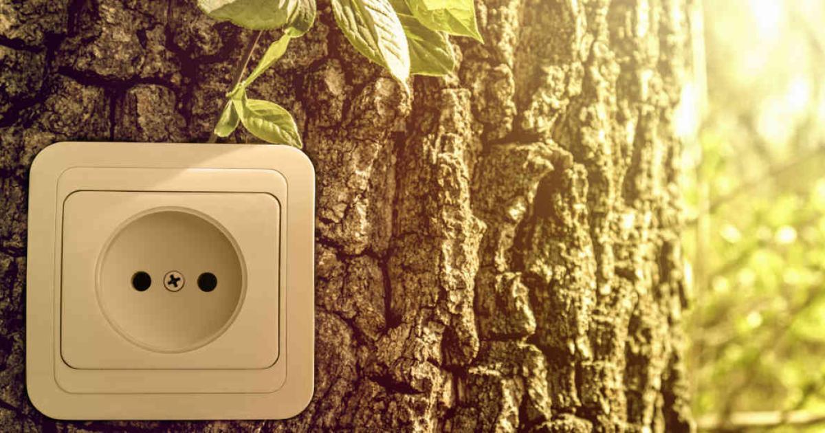 AfricaGoGreen Fund Closes US$47M in new Equity Investments to Advance Climate Resilience in Africa AfricaGoGreen Fund Closes US$47M in new Equity Investments to Advance Climate Resilience in Africa