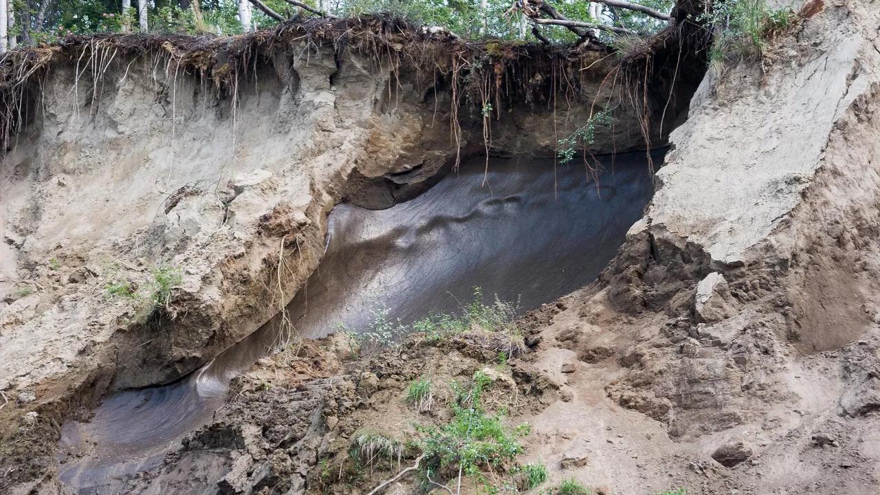 Revived Ancient Zombie-Virus From Siberian Permafrost Hasn't Lost Its Touch, Study Warns Revived Ancient Zombie-Virus From Siberian Permafrost Hasn't Lost Its Touch, Study Warns