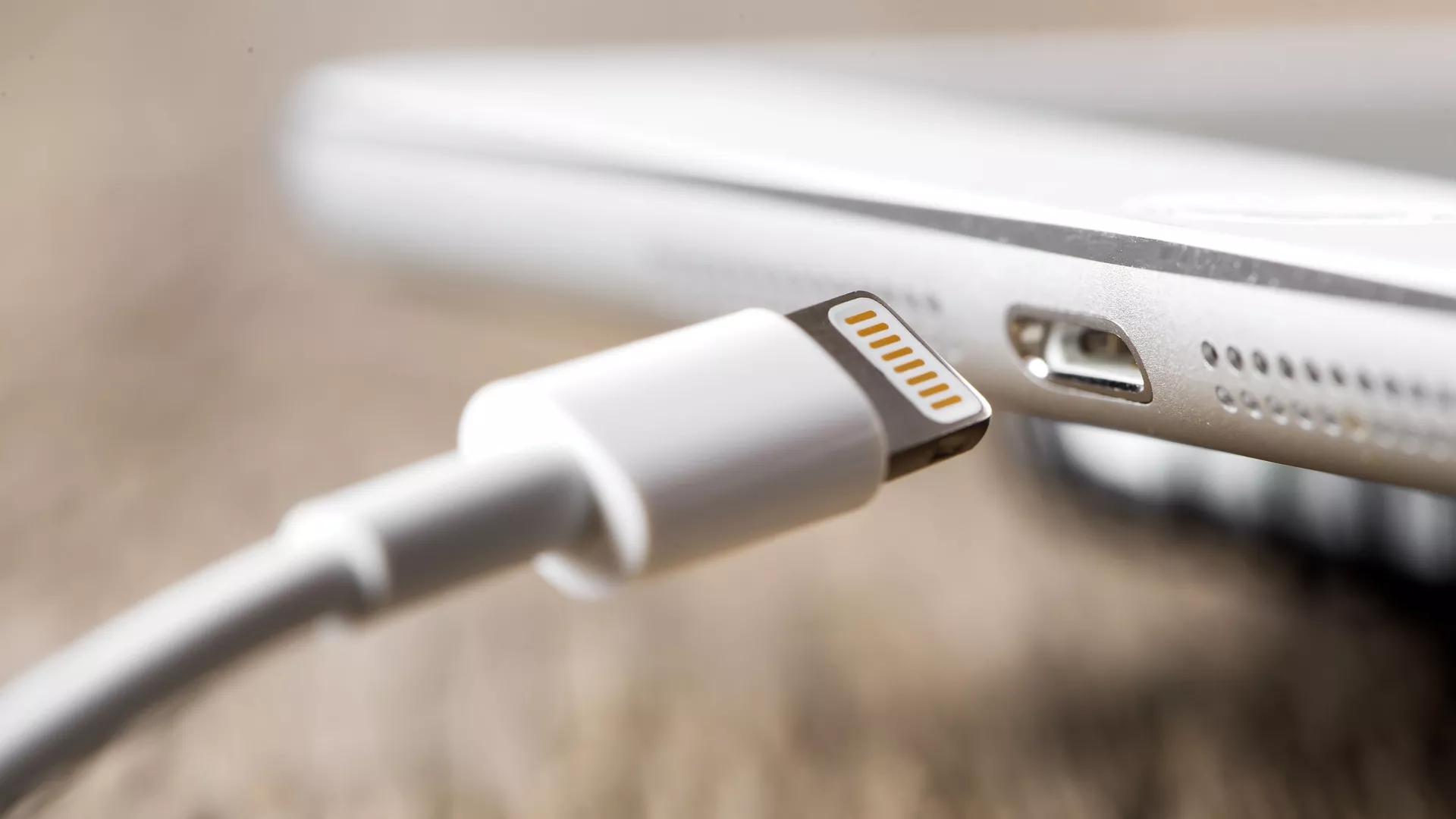 Knock on Wood: World's First Timber Transistor Conducts Electricity Knock on Wood: World's First Timber Transistor Conducts Electricity