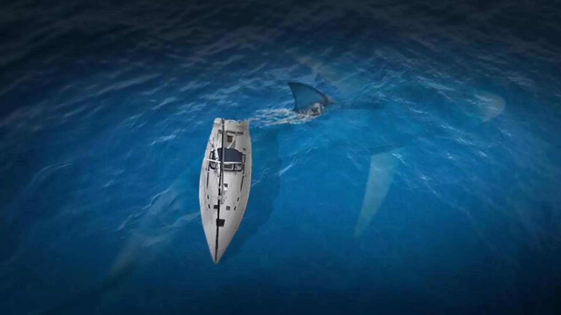 Scientists Debunk Claims of Megalodon Sharks Still Roaming Earth's Oceans Scientists Debunk Claims of Megalodon Sharks Still Roaming Earth's Oceans