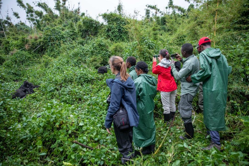 A quick look at Africa 2024 through GDP’s Sierra Leone