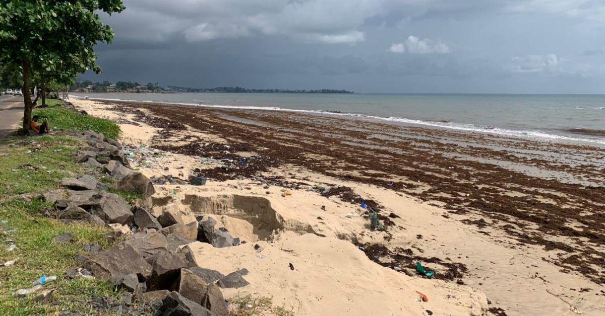Seaweed Re-Emerges Along Sierra Leone’s Coastal Beaches Seaweed Re-Emerges Along Sierra Leone’s Coastal Beaches