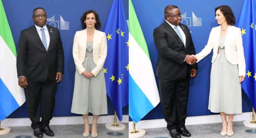 ECOWAS Chairman Bio Meets EU Commissioner on Sahel