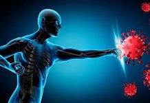 Boost Your Immunity: A Guide to Fighting Disease Boost Your Immunity: A Guide to Fighting Disease