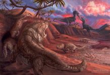 Low Water Levels Expose Jurassic Mammal Fossils Low Water Levels Expose Jurassic Mammal Fossils
