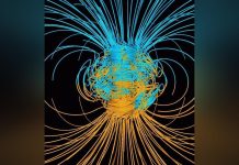Geoinformatics and Survival During Geomagnetic Pole Flip Geoinformatics and Survival During Geomagnetic Pole Flip