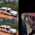 Hawa Conteh Urges Government Action in Koinadugu Hawa Conteh Urges Government Action in Koinadugu