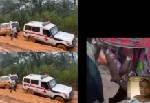 Hawa Conteh Urges Government Action in Koinadugu Hawa Conteh Urges Government Action in Koinadugu