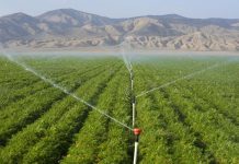 Amateur Metal Detectorist Finds Bronze Age Jewelry Amateur Metal Detectorist Finds Bronze Age Jewelry