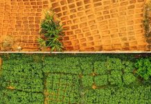 Securing Africa’s Future Through Resilient Food Energy Securing Africa's Future Through Resilient Food Energy