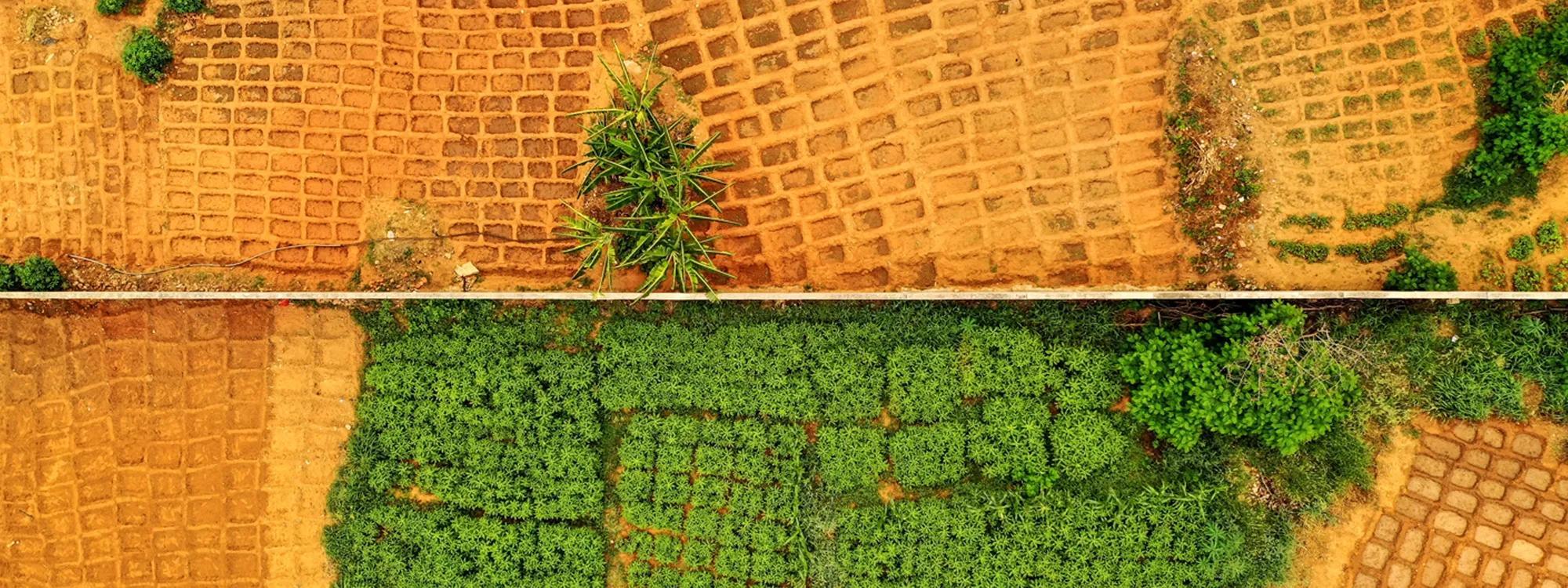 Securing Africa's Future Through Resilient Food Energy Securing Africa's Future Through Resilient Food Energy