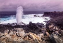 New Deep-Water Reefs Discovered Off Galápagos Islands New Deep-Water Reefs Discovered Off Galápagos Islands