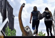 Dinosaurs and Their Impact on Human Aging Dinosaurs and Their Impact on Human Aging