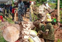 Security Forces Conduct Controlled Bomb Exercise in Kenema Security Forces Conduct Controlled Bomb Exercise in Kenema