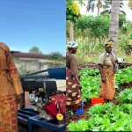 Over 200 Female Farmers Empowered with Machines Over 200 Female Farmers Empowered with Machines