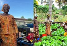 Over 200 Female Farmers Empowered with Machines Over 200 Female Farmers Empowered with Machines