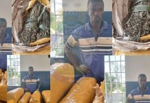 Police Arrest Suspected Cannabis Dealer in Magburaka Police Arrest Suspected Cannabis Dealer in Magburaka