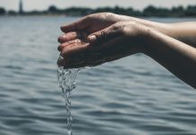 Scientists Develop Super Efficient Water Repellent Coating Scientists Develop Super Efficient Water Repellent Coating