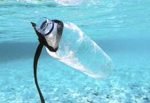 Japanese Scientists Develop Seawater-Dissolving Plastic Japanese Scientists Develop Seawater-Dissolving Plastic