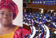 Sylvia Blyden Advocates for Minimum Wage Reform in Parliament Sylvia Blyden Advocates for Minimum Wage Reform in Parliament