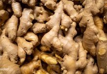 Effects of Daily Ginger Consumption on Your Body Effects of Daily Ginger Consumption on Your Body