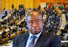 Sierra Leone Wins Second Term on AU Peace Council Sierra Leone Wins Second Term on AU Peace Council