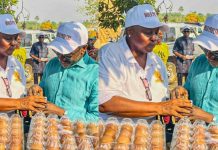 Agriculture Minister Launches Modern Poultry Farm in Kono Agriculture Minister Launches Modern Poultry Farm in Kono