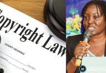 Government Reviews Copyright Law for Digital Protection Government Reviews Copyright Law for Digital Protection
