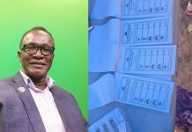 Senior APC Member Urges Cancellation of Local Election Senior APC Member Urges Cancellation of Local Election