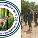 NPAA Sues 23 for Deforestation and Charcoal Burning NPAA Sues 23 for Deforestation and Charcoal Burning