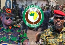 ECOWAS Parliament Investigates Guinean Military Incursion ECOWAS Parliament Investigates Guinean Military Incursion