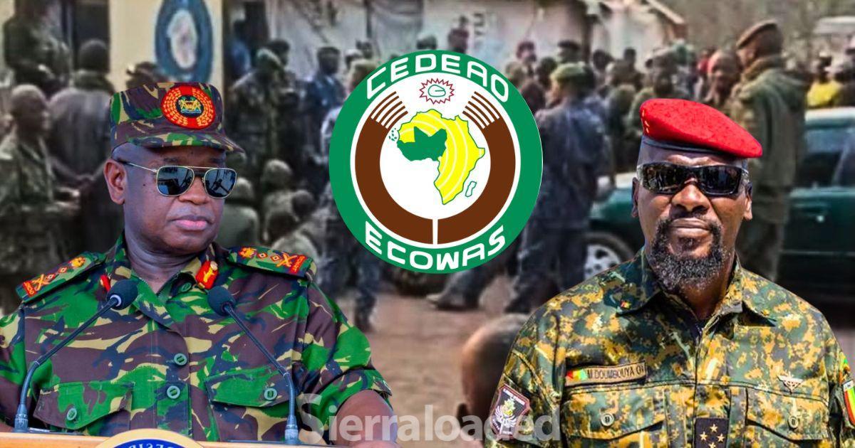 ECOWAS Parliament Investigates Guinean Military Incursion ECOWAS Parliament Investigates Guinean Military Incursion